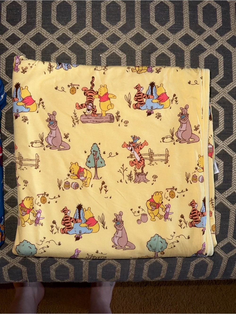 Winnie the Pooh Little Sleepies Cloud